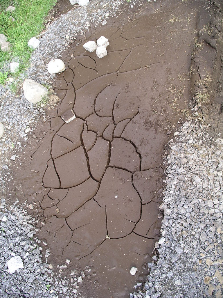 imgp0123