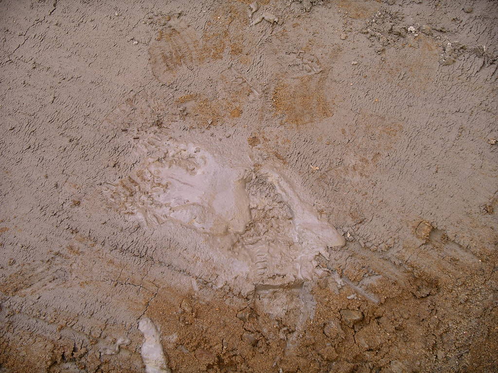 imgp0136